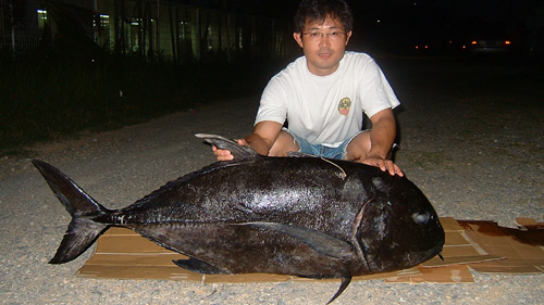 ハクセイ作品紹介 魚 海水魚 ロウニンアジ 35kg